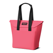 Daytrip® 20L Insulated Tote Bag